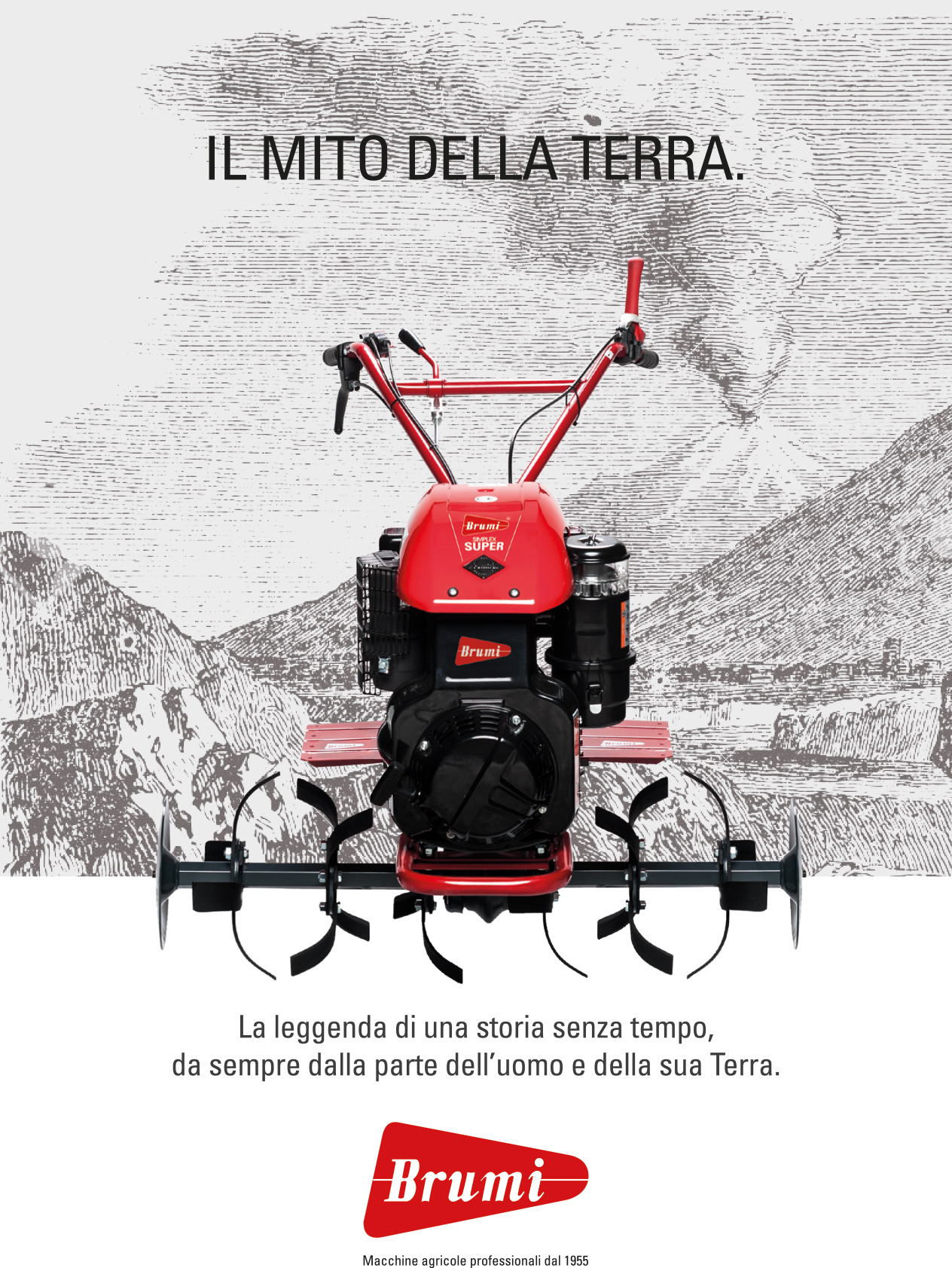 Cartolina contrade